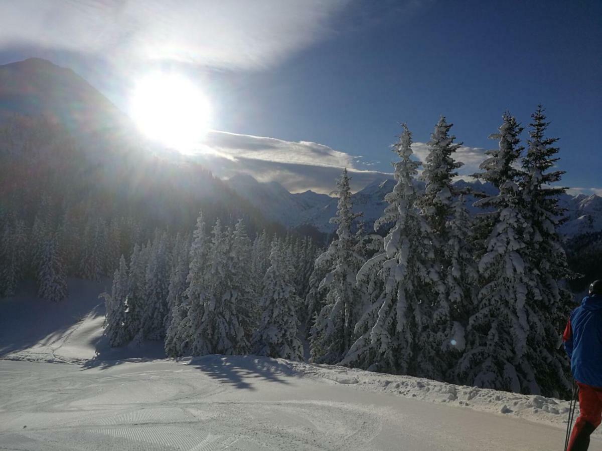 Ferienwohnungen Ellmer ฟลาคเฮา ภายนอก รูปภาพ